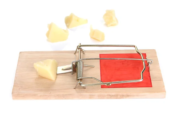 Mousetrap com queijo isolado em branco — Fotografia de Stock