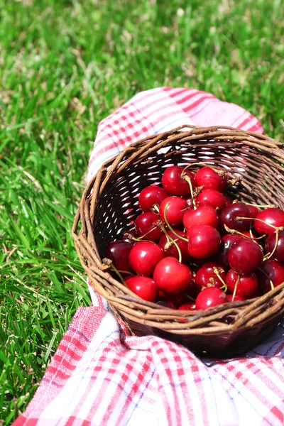 Sweet ripe cherries in wicker basket, on green grass background — Stock Photo, Image