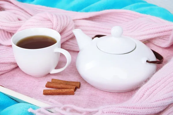 Tasse und Teekanne auf Tablett mit Schal auf Stoffhintergrund — Stockfoto