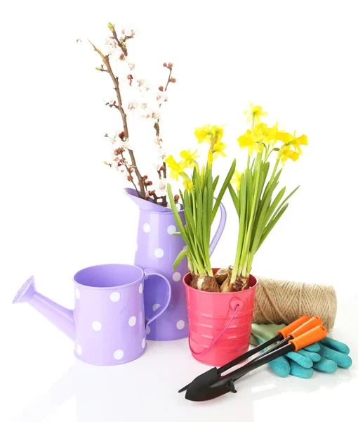 Composição com equipamento de jardim e flores em balde de metal isolado em branco — Fotografia de Stock