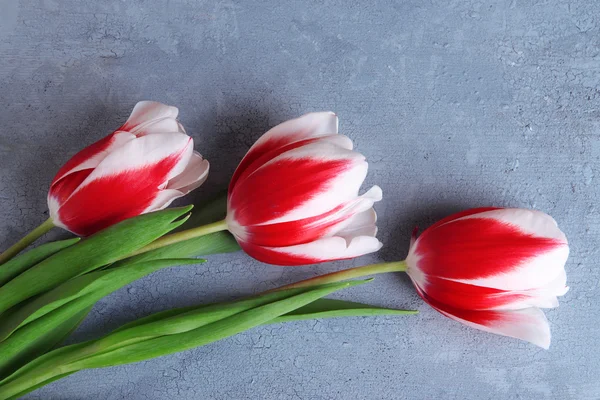 Bei tulipani su sfondo di legno a colori — Foto Stock