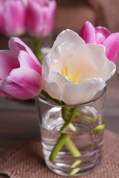 Schöne Tulpen im Eimer in der Vase auf dem Tisch auf grauem Hintergrund — Stockfoto