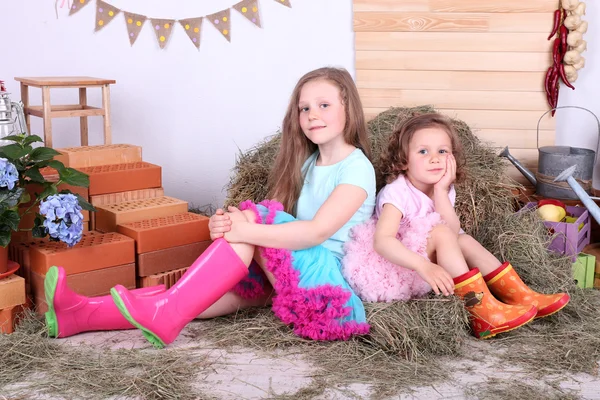 Mooie Kleine Meisjes Kleine Rokken Land Stijl Achtergrond — Stockfoto