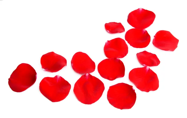 Beautiful petals of red roses isolated on white — Stock Photo, Image