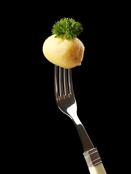 Young boiled potato on fork on black background — Stock Photo, Image