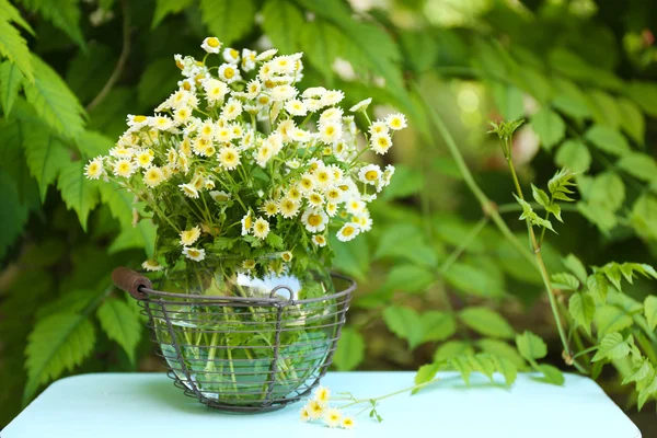 野生の花、屋外の庭の装飾 — ストック写真