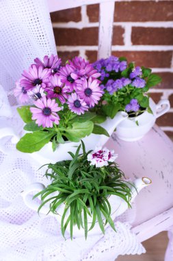 sandalyede, tuğla zemin üzerine dekoratif saksı çiçekleri