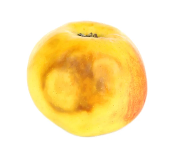 Гниле яблуко ізольоване на білому — стокове фото