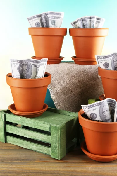 Business concept: growing money in the flowerpots on nature background — Stock Photo, Image