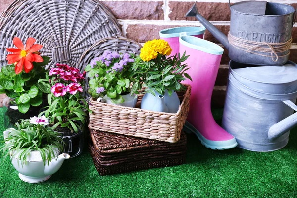 Flores em vasos decorativos e ferramentas de jardim na grama verde, no fundo de tijolos — Fotografia de Stock