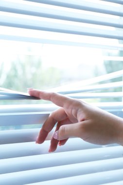 Venedik levhalarını ayıran kadın eli parmaklarıyla görüyor.