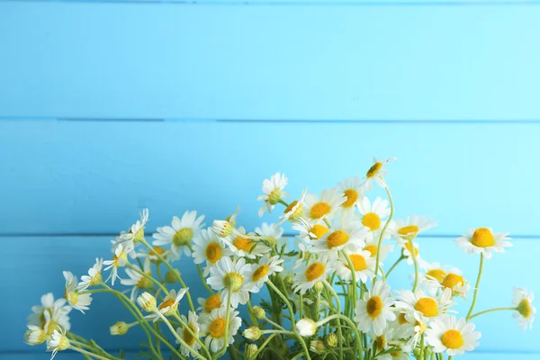 Chamomiles op een houten achtergrond kleur — Stockfoto