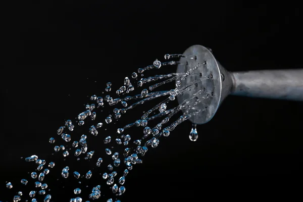 Water can watering flowers on black background — Stock Photo, Image