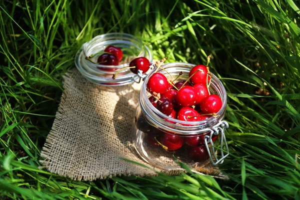 Sweet ripe cherries in glass jar on green grass background — Stock Photo, Image