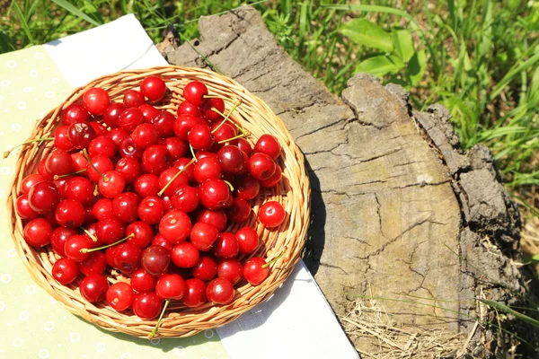 Sweet cherries on wicker stand with napkin on glade — Stock Photo, Image