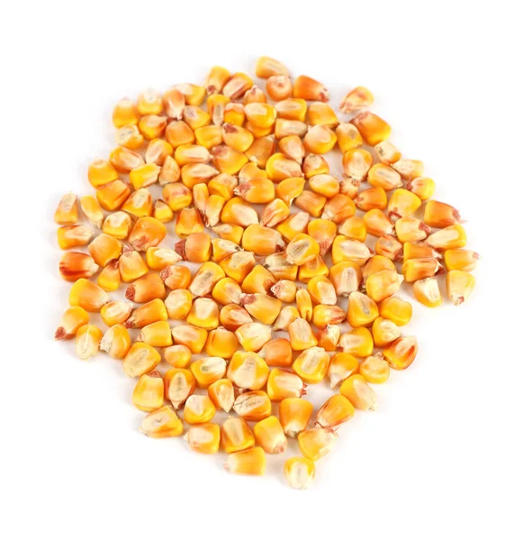 Corn seeds isolated on white — Stock Photo, Image
