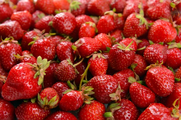 Rijp zoete aardbeien close-up — Stockfoto