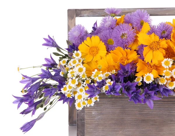 Beautiful flowers in crate isolated on white — Stock Photo, Image