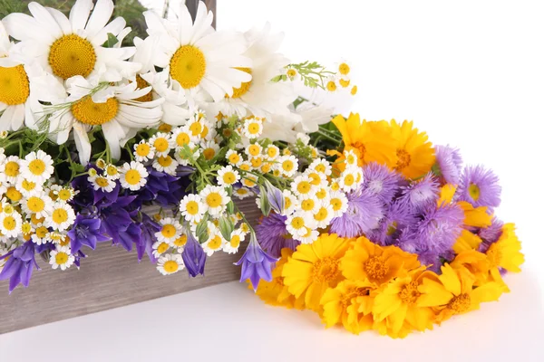 Красивые цветы в ящике изолированы на белом — стоковое фото