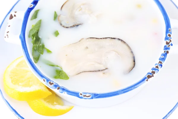 Soupe savoureuse aux huîtres, isolée sur fond blanc — Photo