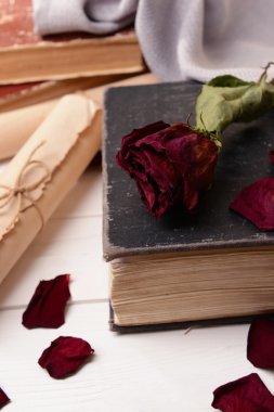 eski kitaplar üzerinde tablo yakın çekim