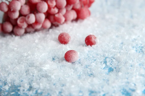 Baies rouges de viorne avec cristaux de glace, sur fond bleu — Photo