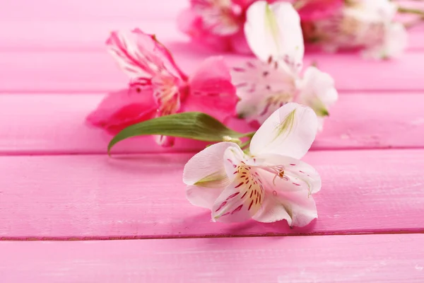 Hermosas flores de Alstroemeria sobre mesa de madera —  Fotos de Stock