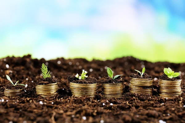 Concept d'entreprise : pièces d'or dans le sol avec de jeunes plantes sur fond de nature — Photo