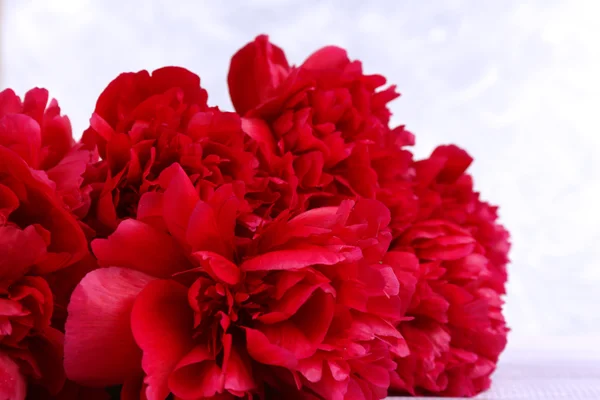 Beautiful pink peonies, close up — Stock Photo, Image