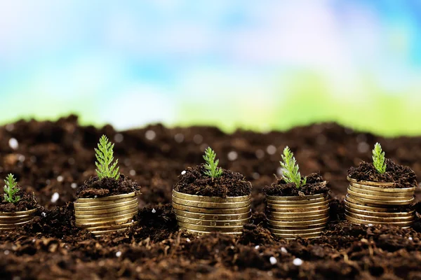 Concept d'entreprise : pièces d'or dans le sol avec de jeunes plantes sur fond de nature — Photo