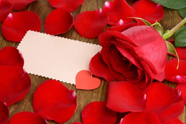Bellissimi petali di rose rosse su sfondo di legno — Foto Stock