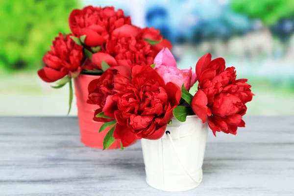 Güzel pembe peonies doğa zemin üzerine — Stockfoto