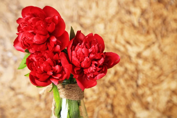 Hermosas peonías rosadas sobre fondo de pared marrón — Foto de Stock