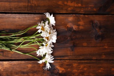 güzel papatya buketi