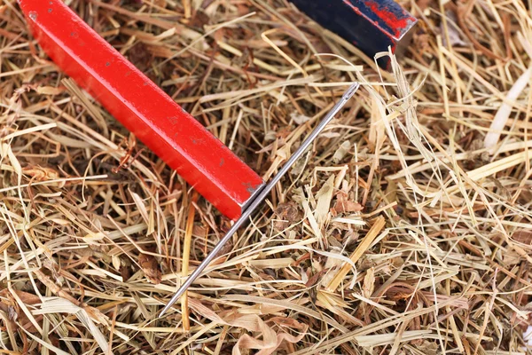 Magnet and needle on hay background — Stock Photo, Image