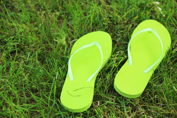 Heldere slippers op groen gras — Stockfoto