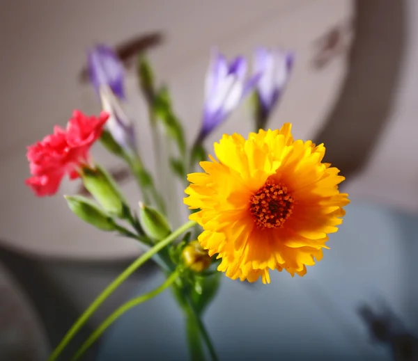 Schöne wilde Blumen auf Holzgrund — Stockfoto