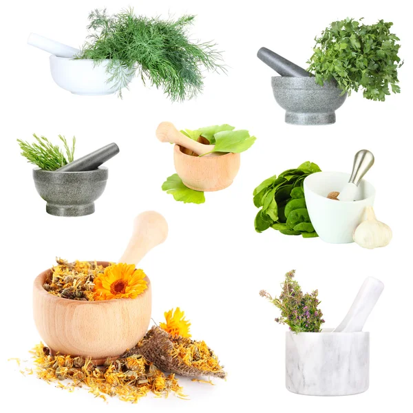 Collage of different herbs isolated on white — Stock Photo, Image