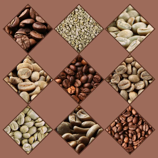 Collage of different coffee beans — Stock Photo, Image