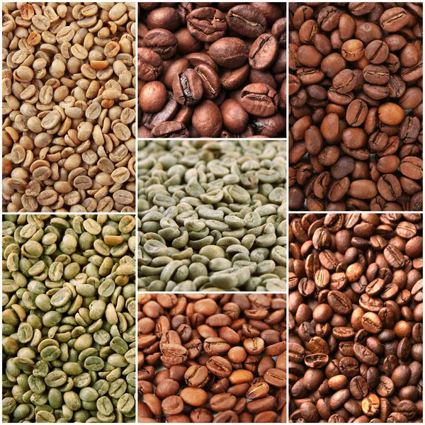 Různé zrnkové kávy — Stock fotografie