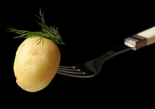 Young boiled potato on fork on black background — Stock Photo, Image