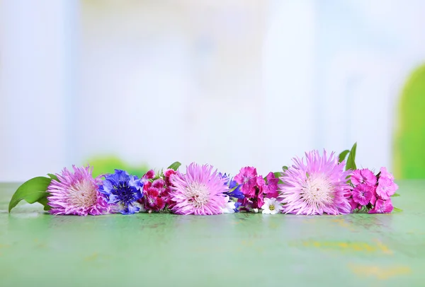 Flores selvagens brilhantes — Fotografia de Stock