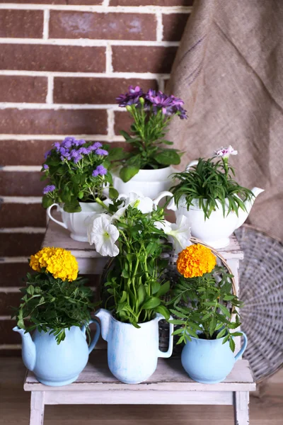 Flowers in  decorative pots on wooden ladder, on bricks background — Stock Photo, Image