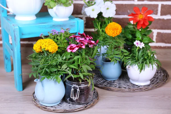 Blommor i dekorativa krukor på stol, på tegelstenar bakgrund — Stockfoto