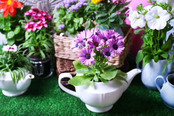 Çiçekler dekoratif tencere ve yeşil çim zemin üzerine Bahçe aletleri — Stok fotoğraf