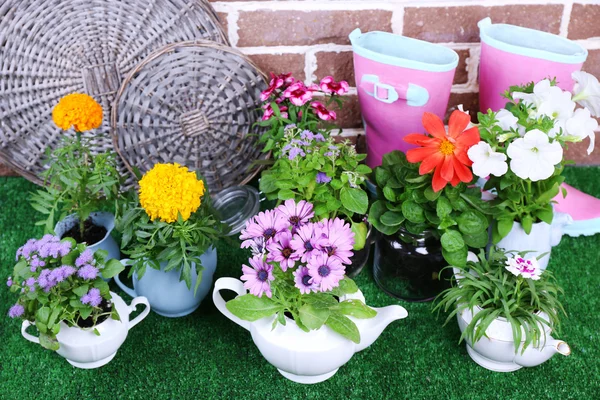 Flowers in  decorative pots and garden tools on green grass, on bricks background — Stock Photo, Image