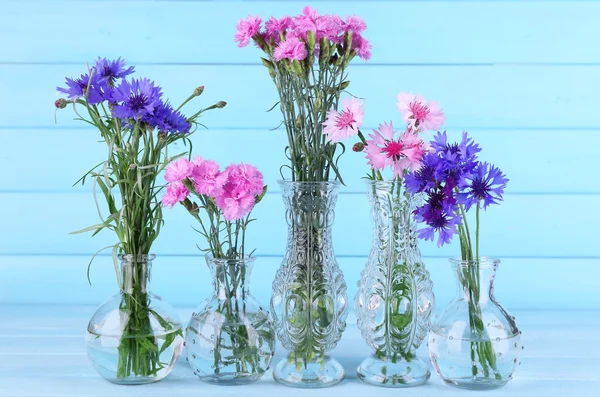 Hermosas flores de verano en jarrones — Foto de Stock