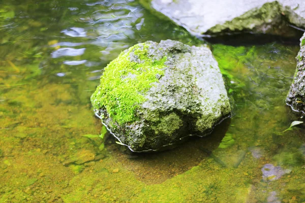 Большой камень в природном ландшафте — стоковое фото
