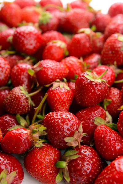 Gros plan sur les fraises douces mûres — Photo