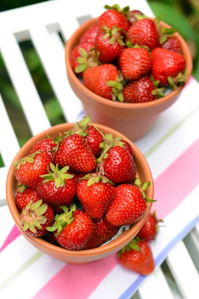 Fresas dulces maduras en macetas en la mesa en el jardín — Foto de Stock